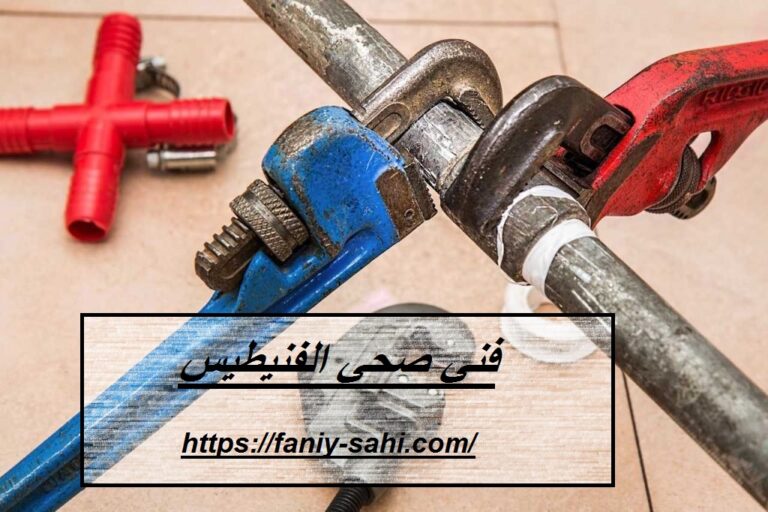 فني صحي الفنيطيس